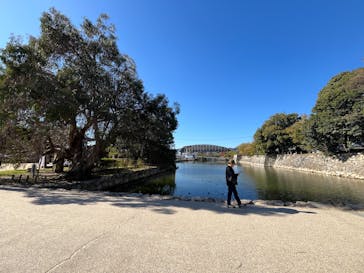 広島城に投稿された画像（2025/11/23）