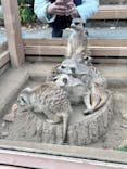 こども動物自然公園（埼玉県公園緑地協会）に投稿された画像（2025/11/23）