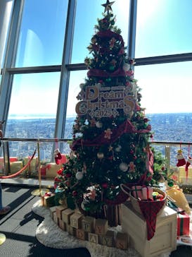 東京スカイツリーに投稿された画像（2025/11/23）