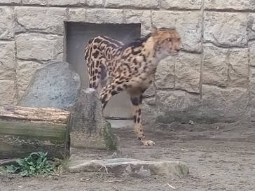 多摩動物公園に投稿された画像（2025/11/23）