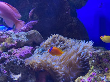 仙台うみの杜水族館に投稿された画像（2025/11/23）