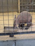 恩賜上野動物園に投稿された画像（2025/11/23）