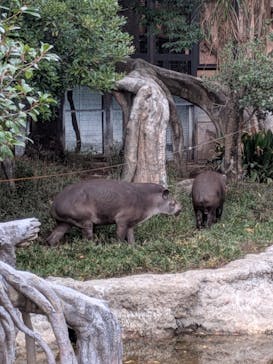 恩賜上野動物園に投稿された画像（2025/11/23）