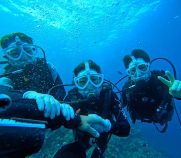 青の洞窟専門店　沖縄ダイビングショップ和に投稿された画像（2025/11/23）