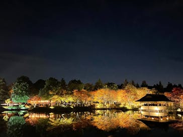 国営昭和記念公園 秋の夜散歩に投稿された画像（2025/11/23）