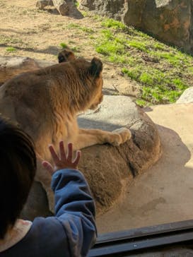 天王寺動物園に投稿された画像（2025/11/23）