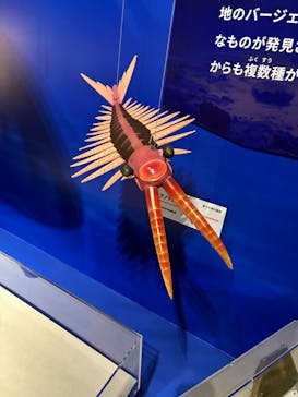 特別展「大絶滅展―生命史のビッグファイブ」に投稿された画像（2025/11/23）