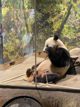 恩賜上野動物園に投稿された画像（2025/11/23）