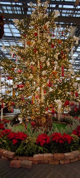 安城産業文化公園デンパークに投稿された画像（2025/11/23）