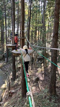 冒険の森のせに投稿された画像（2025/11/23）