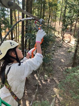 冒険の森のせに投稿された画像（2025/11/23）