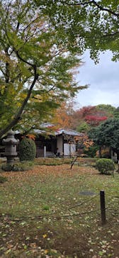 東京国立博物館に投稿された画像（2025/11/23）