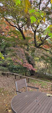 東京国立博物館に投稿された画像（2025/11/23）