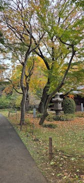 東京国立博物館に投稿された画像（2025/11/23）