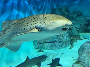 アクアワールド茨城県大洗水族館に投稿された画像（2025/11/23）