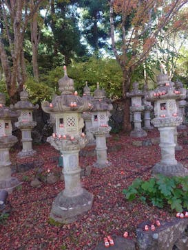 勝尾寺に投稿された画像（2025/11/23）