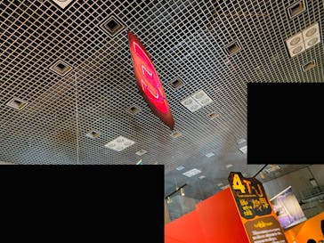 特別展「大絶滅展―生命史のビッグファイブ」に投稿された画像（2025/11/23）