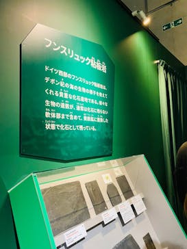 特別展「大絶滅展―生命史のビッグファイブ」に投稿された画像（2025/11/23）