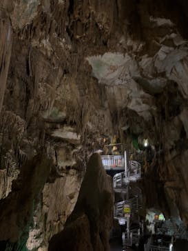 あぶくま洞に投稿された画像（2025/11/23）