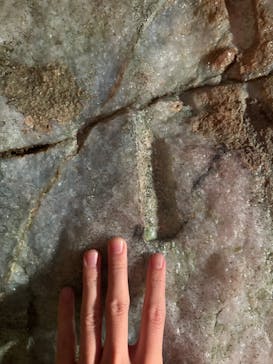 あぶくま洞に投稿された画像（2025/11/23）