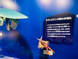 特別展「大絶滅展―生命史のビッグファイブ」に投稿された画像（2025/11/23）