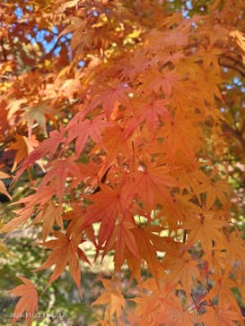 名古屋市東山動植物園に投稿された画像（2025/11/23）