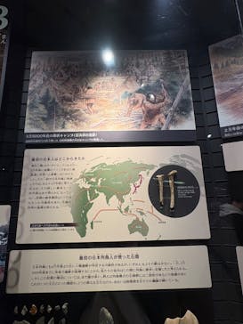 印象派オルセー展×大絶滅展に投稿された画像（2025/11/23）