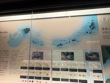 印象派オルセー展×大絶滅展に投稿された画像（2025/11/23）