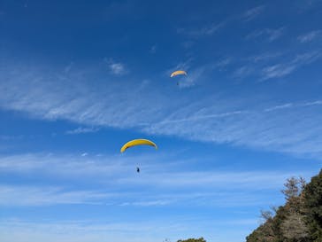 空ともパラグライダースクールに投稿された画像（2025/11/23）
