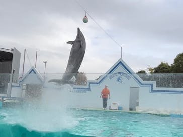 しながわ水族館に投稿された画像（2025/11/23）