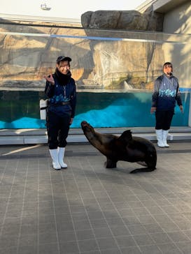 仙台うみの杜水族館に投稿された画像（2025/11/23）