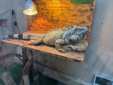 仙台うみの杜水族館に投稿された画像（2025/11/23）