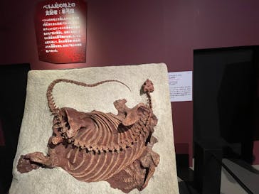 特別展「大絶滅展―生命史のビッグファイブ」に投稿された画像（2025/11/23）