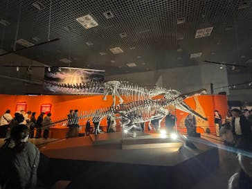 特別展「大絶滅展―生命史のビッグファイブ」に投稿された画像（2025/11/23）