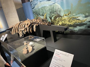 特別展「大絶滅展―生命史のビッグファイブ」に投稿された画像（2025/11/23）