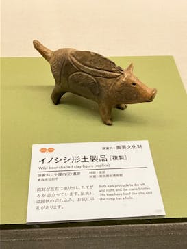 特別展　世界遺産　縄文に投稿された画像（2025/11/23）