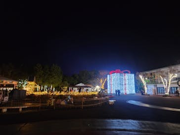 みろくの里に投稿された画像（2025/11/23）