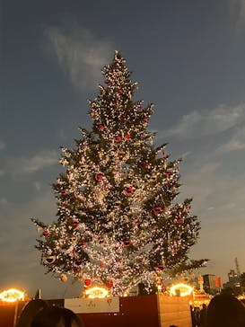 Christmas Market in 横浜赤レンガ倉庫 2025に投稿された画像（2025/11/23）