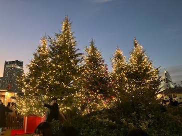 Christmas Market in 横浜赤レンガ倉庫 2025に投稿された画像（2025/11/23）