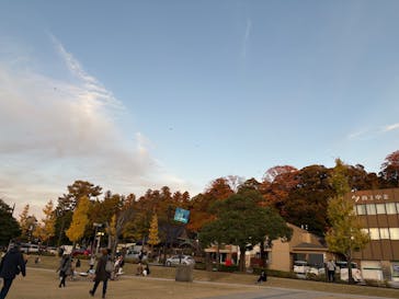 金沢21世紀美術館に投稿された画像（2025/11/23）