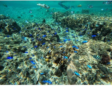 武藤潜水に投稿された画像（2025/11/23）