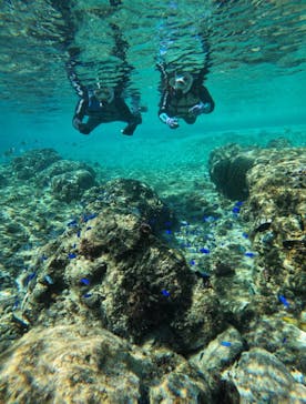 武藤潜水に投稿された画像（2025/11/23）