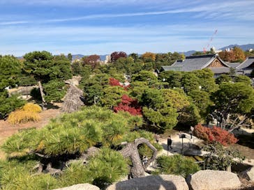 元離宮二条城に投稿された画像（2025/11/23）