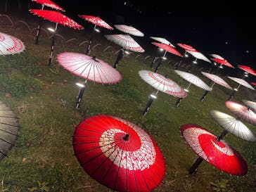 国営昭和記念公園 秋の夜散歩に投稿された画像（2025/11/23）