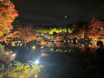 国営昭和記念公園 秋の夜散歩に投稿された画像（2025/11/23）