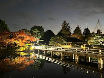 国営昭和記念公園 秋の夜散歩に投稿された画像（2025/11/23）