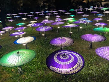 国営昭和記念公園 秋の夜散歩に投稿された画像（2025/11/23）