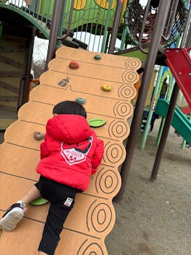 千葉こどもの国 キッズダムに投稿された画像（2025/11/23）