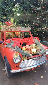 横浜イングリッシュガーデンに投稿された画像（2025/11/23）