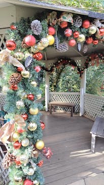 横浜イングリッシュガーデンに投稿された画像（2025/11/23）